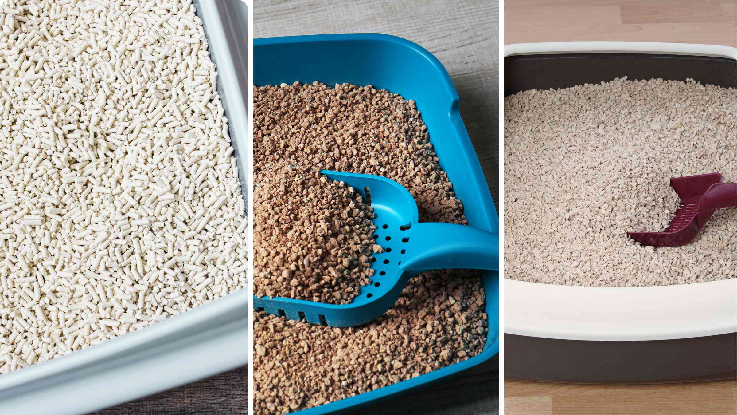 What is Cat Litter: Essential Guide for Pet Owners