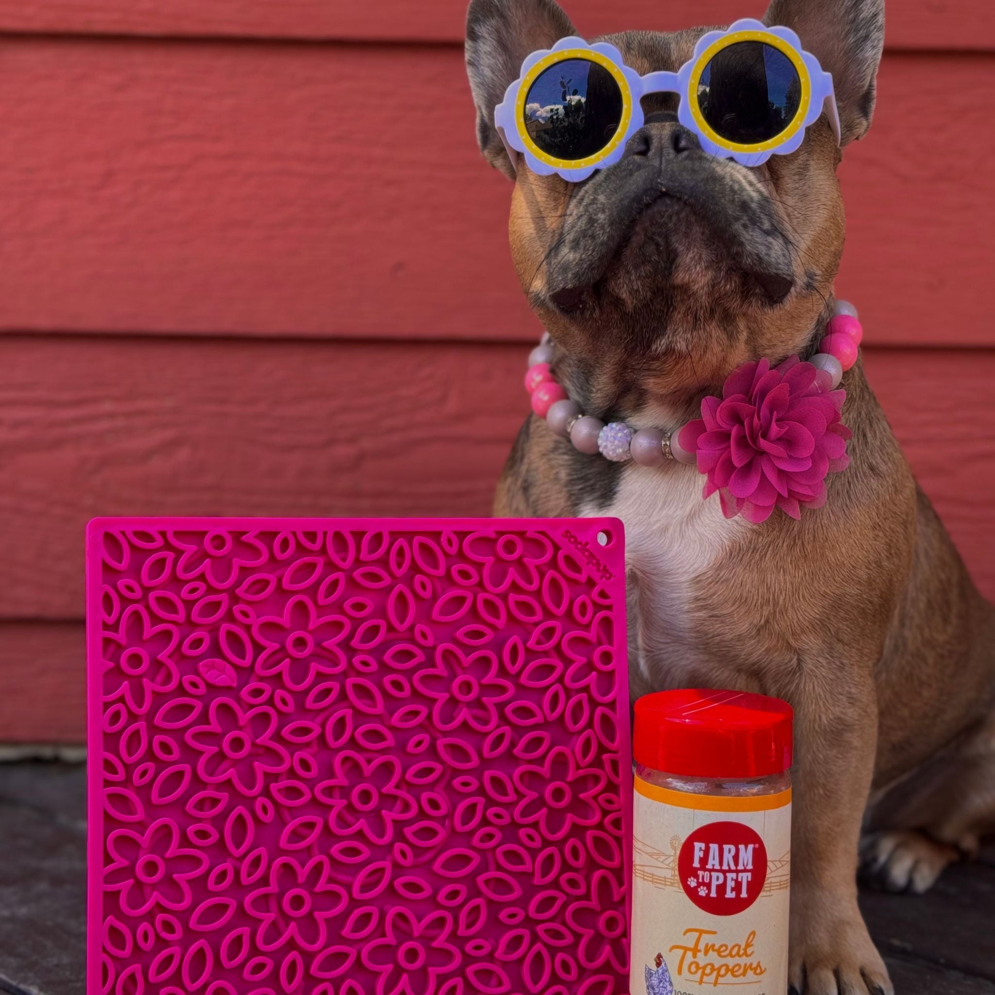 Lick Mats for Cats | USA Made Slow Feeding & Mental Stimulation Toy