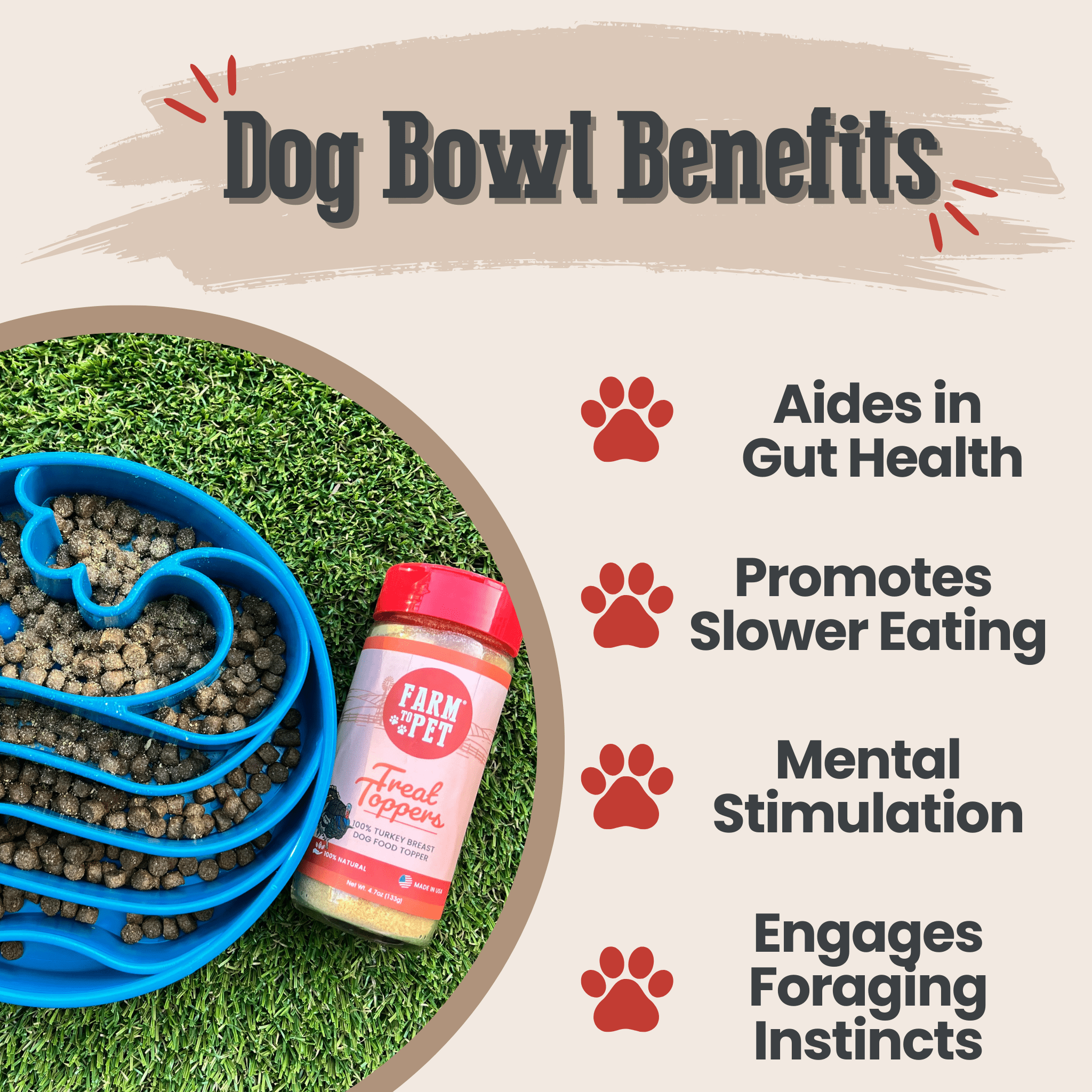 Slow Feeder Bowls for Cats | Made in the USA, Dishwasher-Safe & Non-Toxic