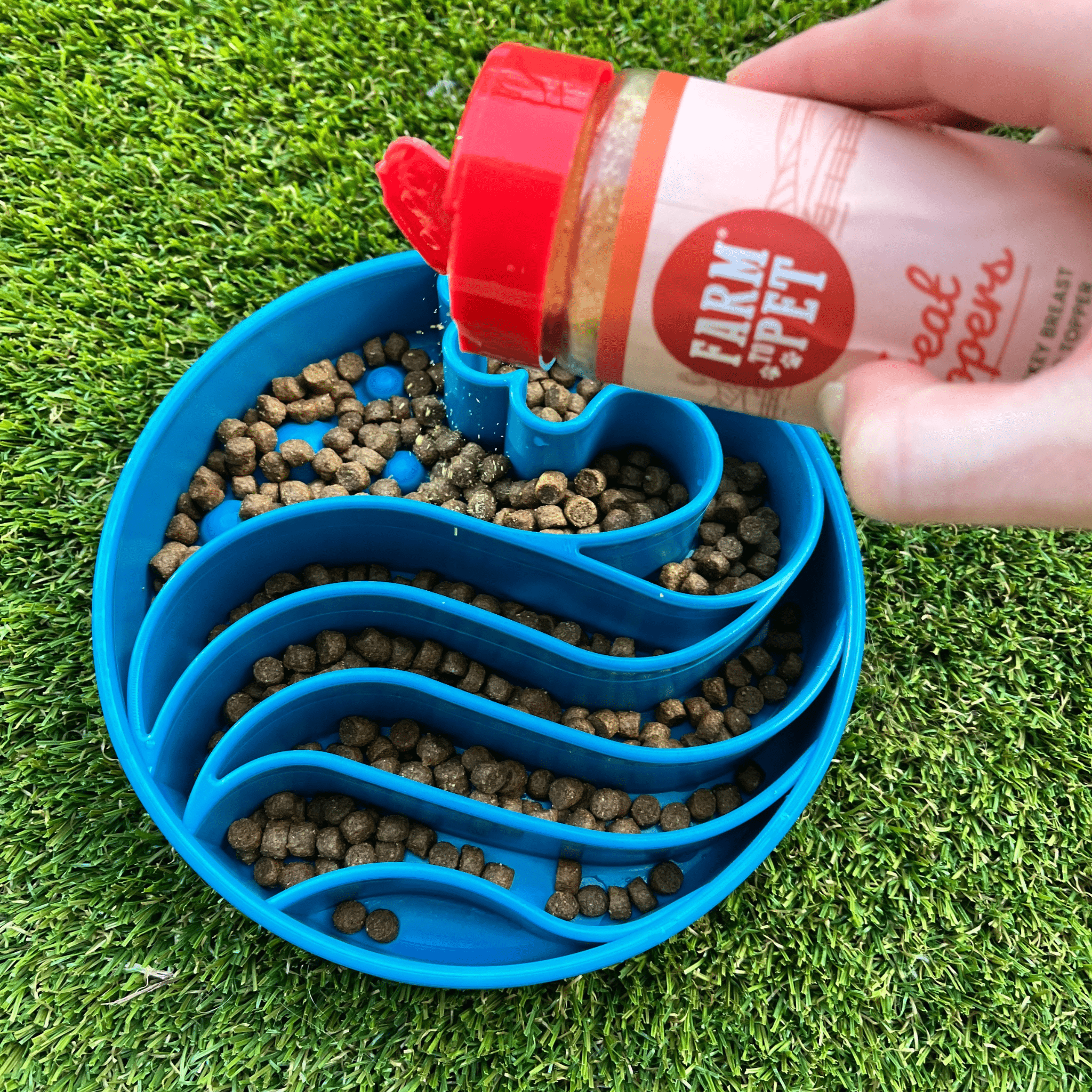 Slow Feeder Bowls for Cats | Made in the USA, Dishwasher-Safe & Non-Toxic