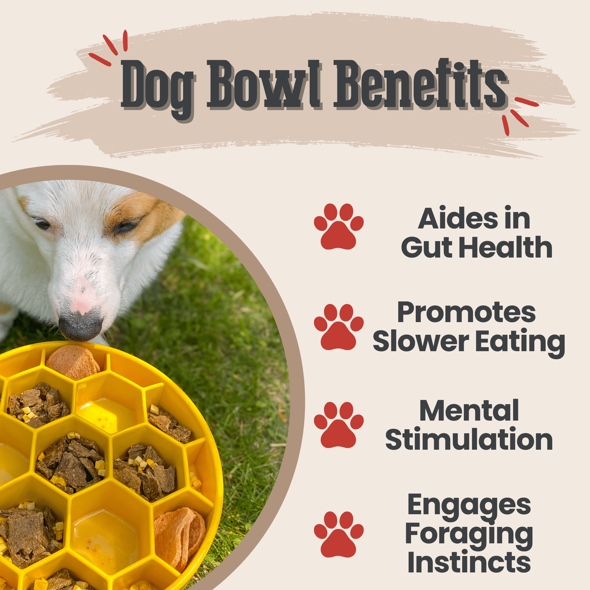 Slow Feeder Bowls for Cats | Made in the USA, Dishwasher-Safe & Non-Toxic