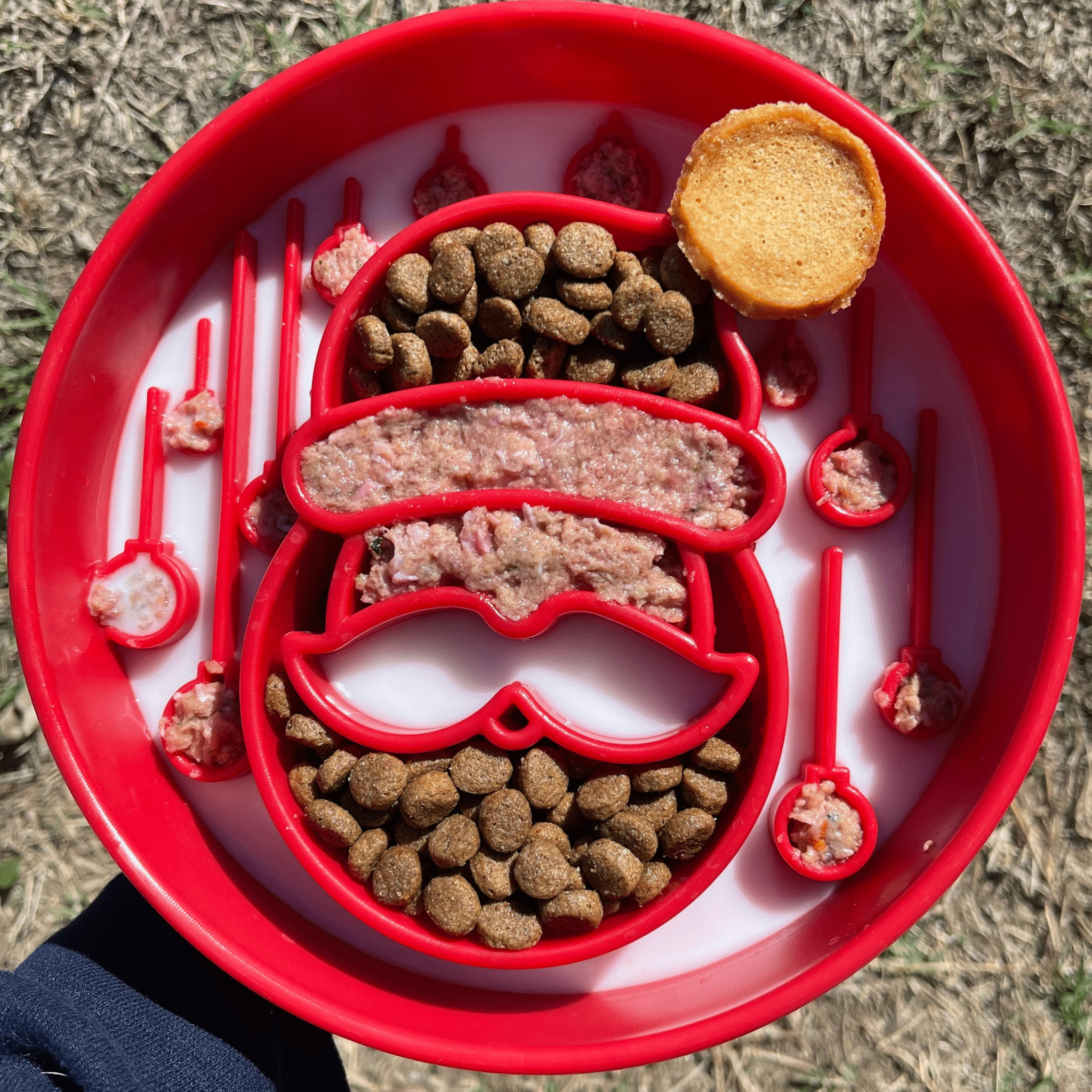Slow Feeder Bowls for Cats | Made in the USA, Dishwasher-Safe & Non-Toxic