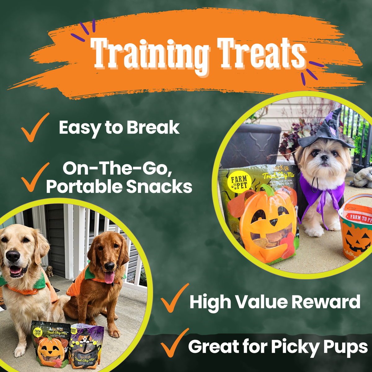 Halloween Trick or Treat Chip Mix for Cats