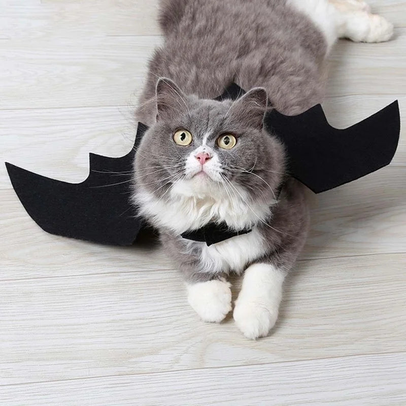 Halloween Black Bat Wings for Cats | Cat Costume