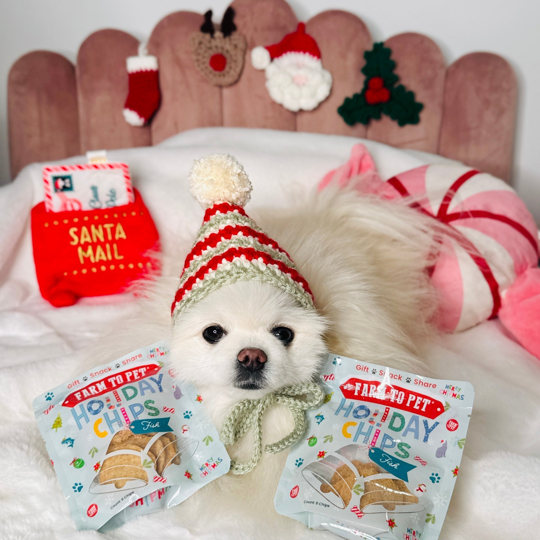 Holiday Assortment Single Ingredient Treat Bundle | Beef, Chicken, Turkey, and Fish