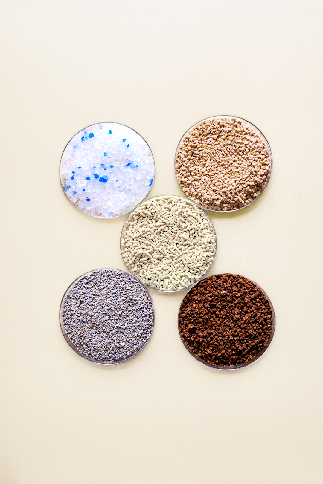 Five petri dishes showing different types of cat litter with SoyKitty unscented plant-based litter in the center surrounded by other common litter types.