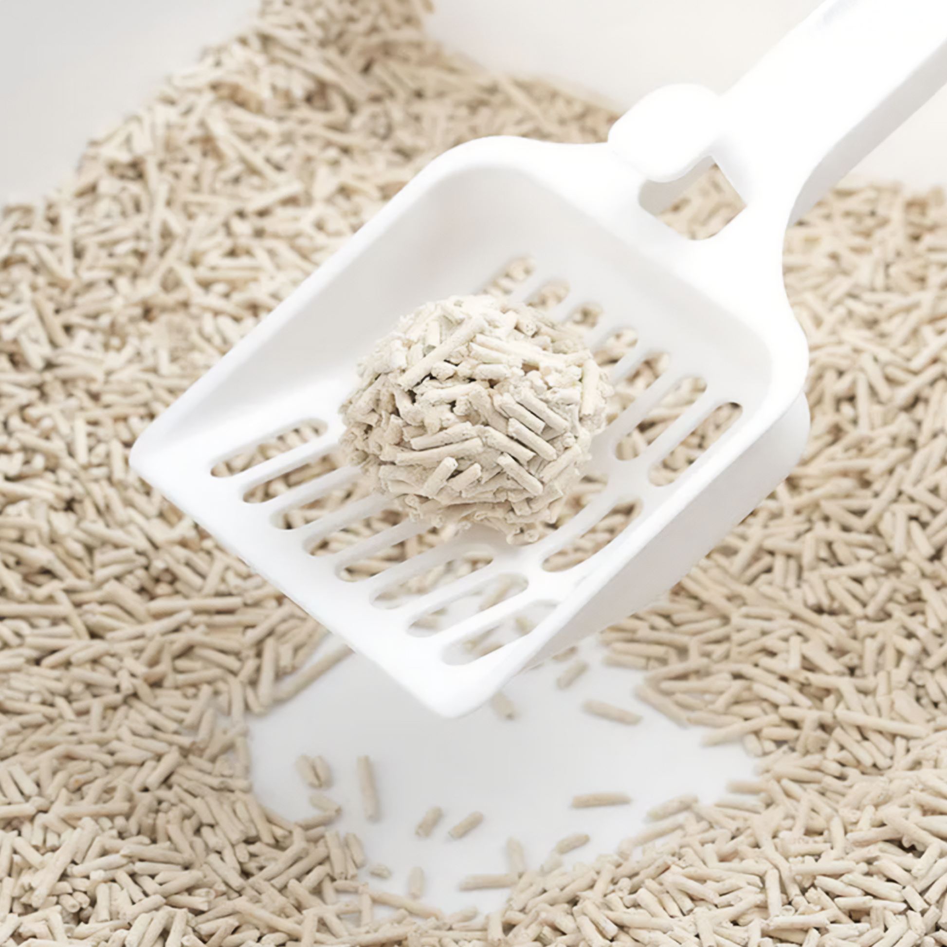 All-Natural, Non-Toxic Plant-Based Cat Litter