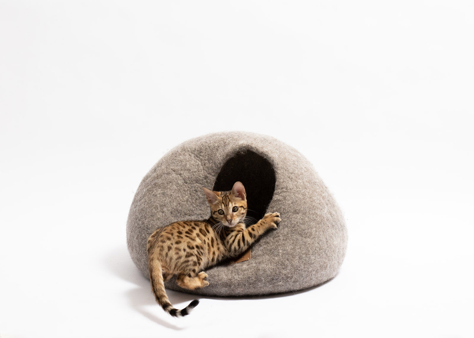 Bengal kitten playing in front of the Earth Brown felted wool cat cave by SoyKitty on white backdrop
