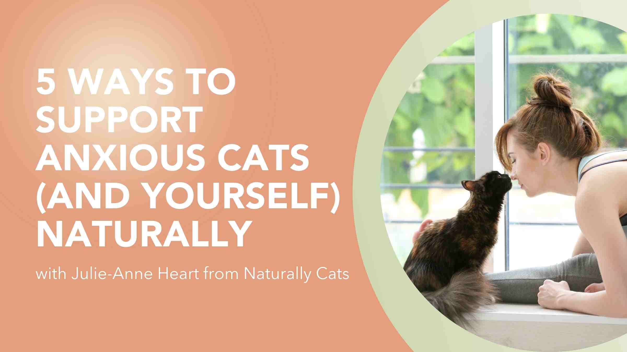 5 ways to support anxious cats (and yourself) naturally. Key learnings from podcast interview with Julie-Anne Heart. Cat and owner doing yoga. 