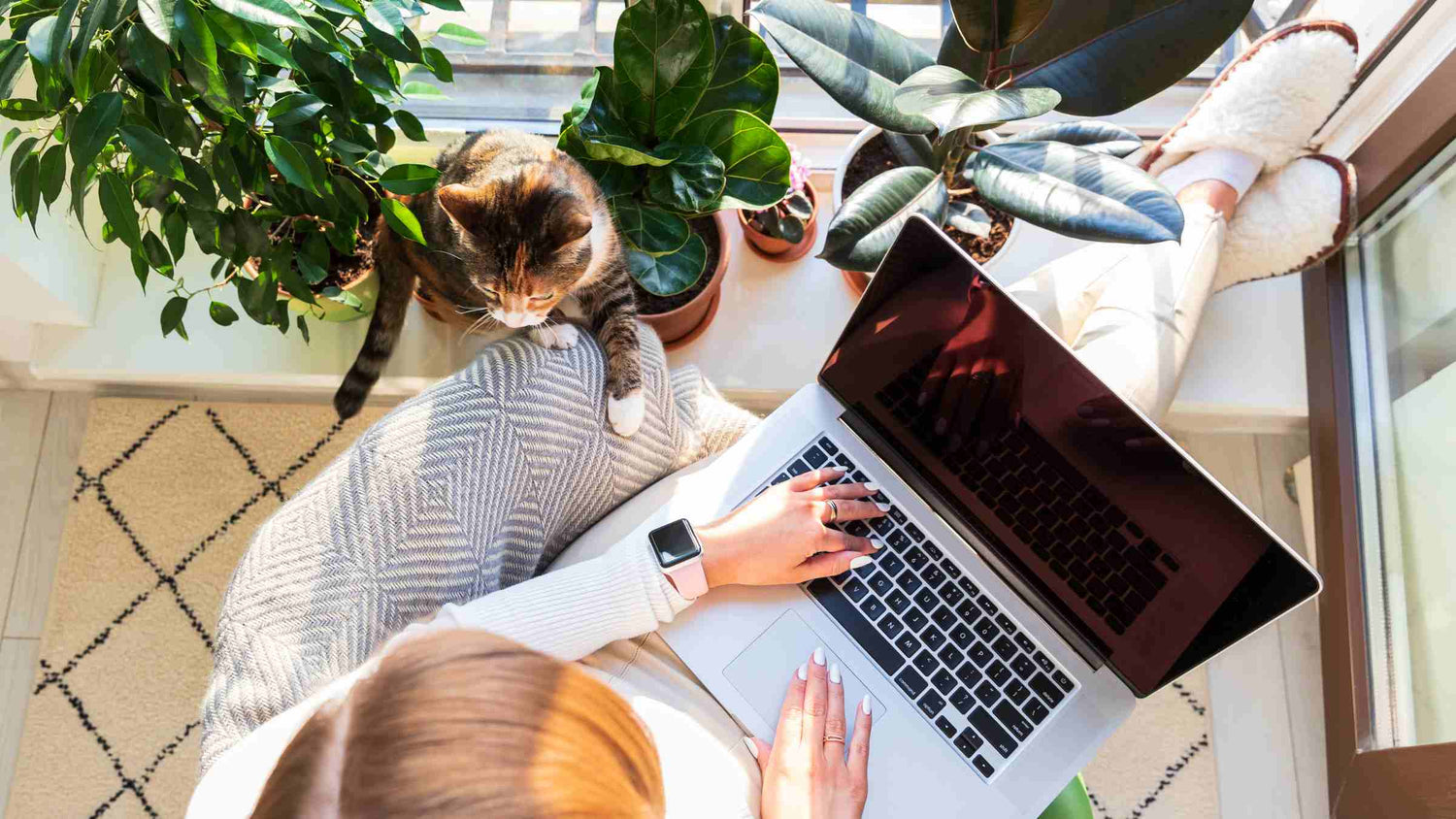 Sustainable home with a person working on a laptop and their cat, promoting an eco-friendly and pet-friendly environment.