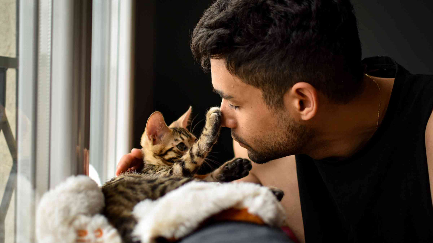 Open Your Home and Your Heart: Why You Should Foster Cats - Young man with dark hair kissing a small kitten