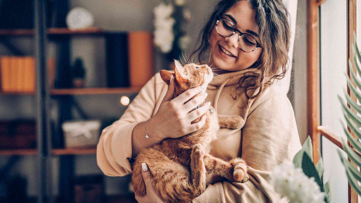 The health benefits of having a cat