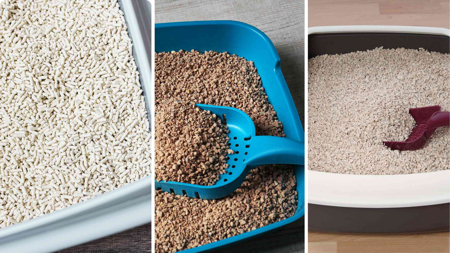 What are the Healthiest Cat Litters - tofu cat litter box vs wheat cat litter box vs corn cat litter box