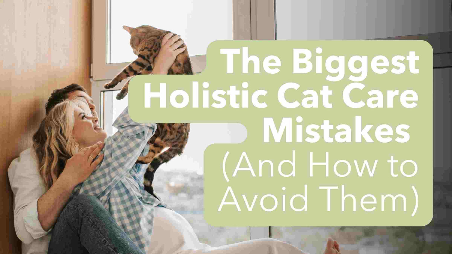 The Biggest Holistic Cat Care Mistakes (And How to Avoid Them)