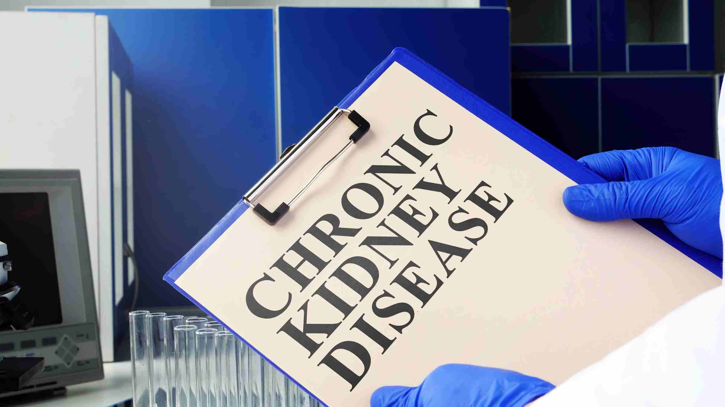 Veterinarian holding a clipboard with "Chronic Kidney Disease" diagnosis, highlighting medical testing for feline CKD.