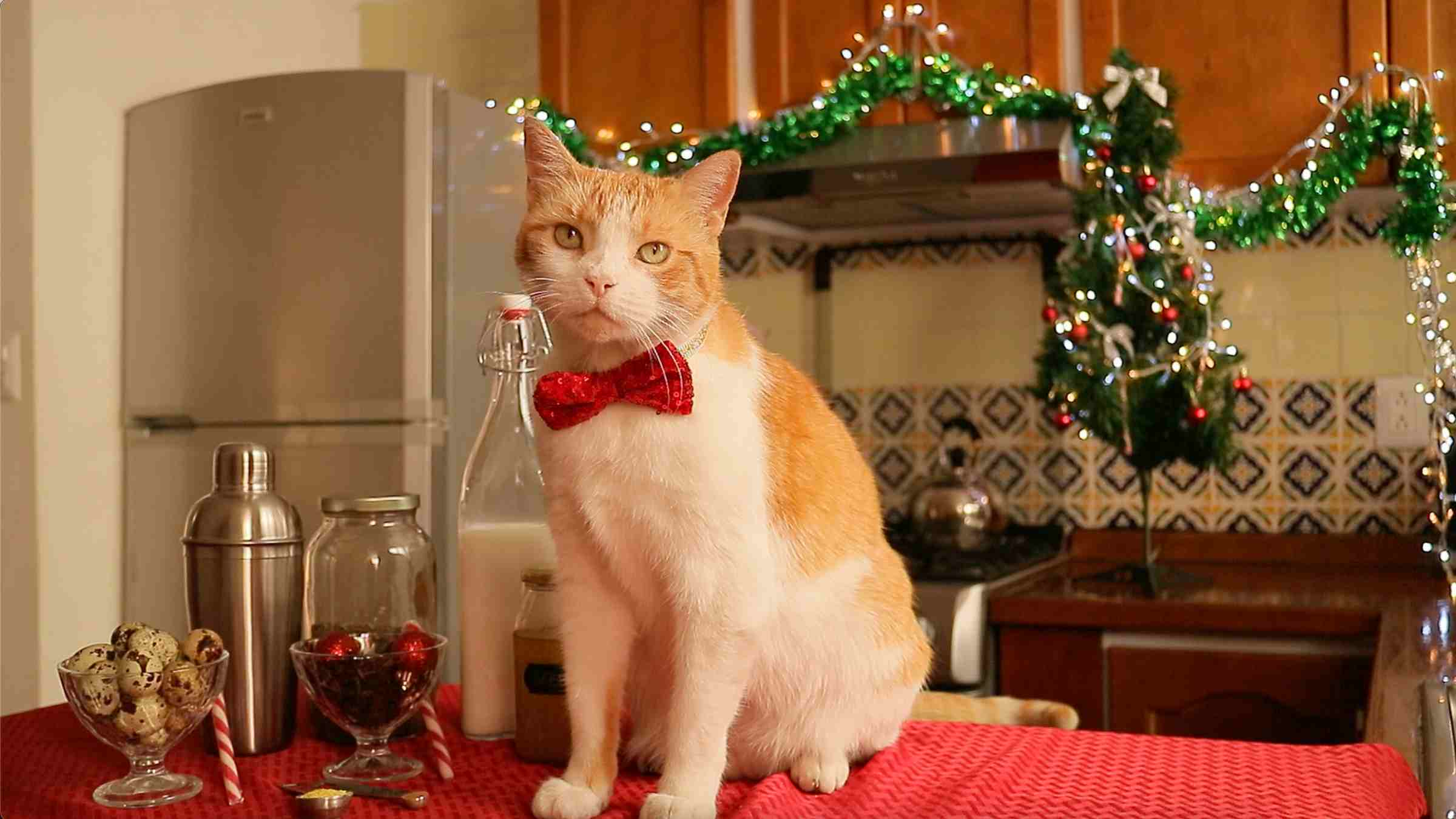 Orange and white cat wearing a red bow tie, sitting in a festive holiday-decorated kitchen with kitty cocktail ingredients, ready for a holiday-inspired kitty cocktail.