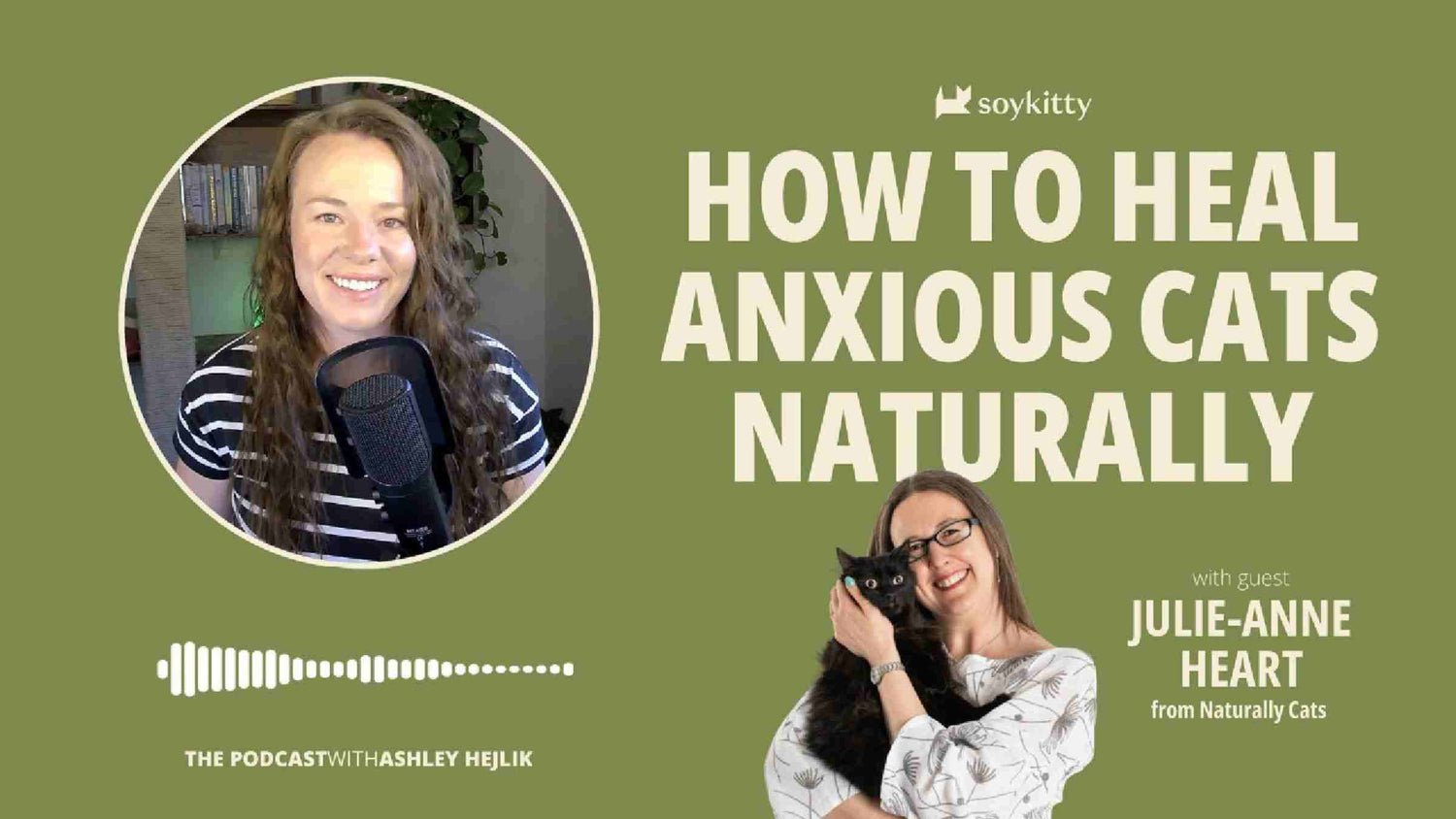 How to heal an anxious cat with Julie-Anne Heart from Naturally Cats