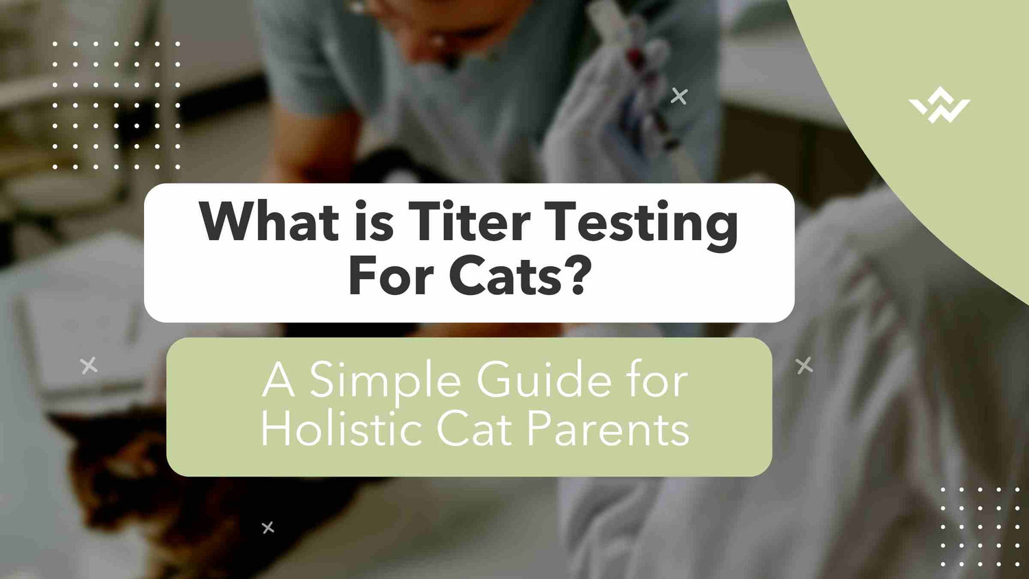 What is titer testing for cats?