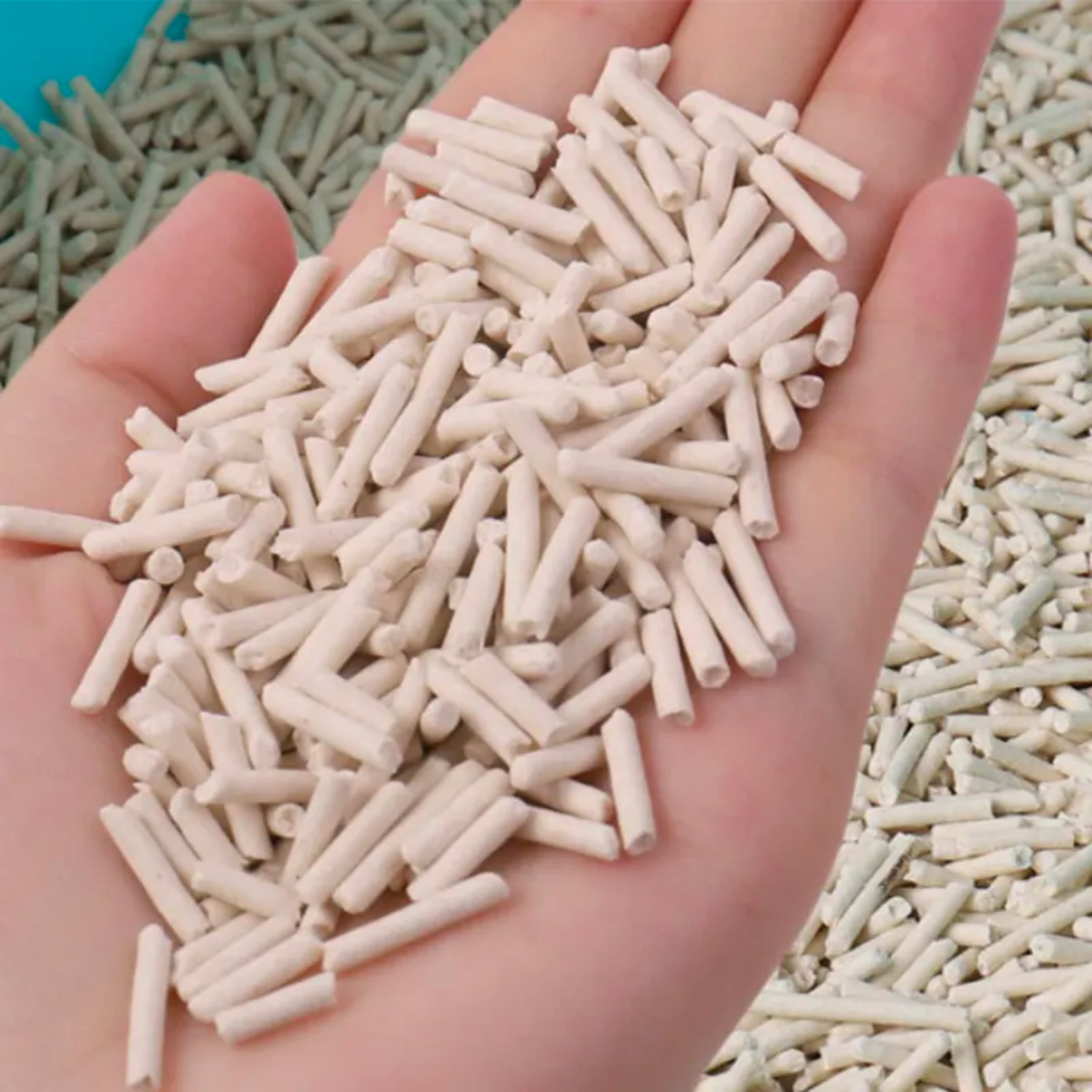hand holding soykitty unscented litter pellets