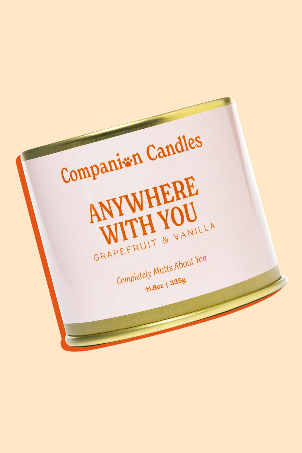 Anywhere with You
