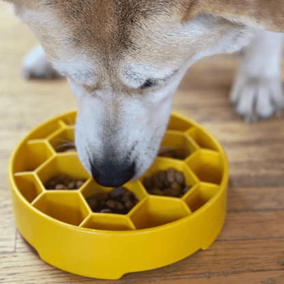 Holiday Slow Feeder Bowls for Cats | Made in the USA, Dishwasher-Safe &amp; Non-Toxic