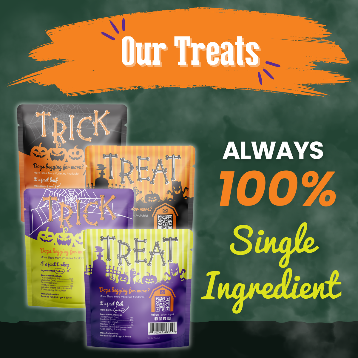 Halloween Cat Treat Snack Pack Bundle