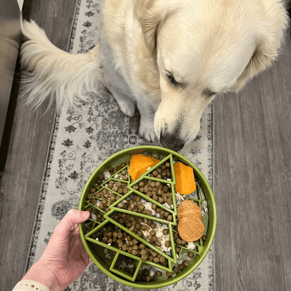 Holiday Slow Feeder Bowls for Cats | Made in the USA, Dishwasher-Safe &amp; Non-Toxic