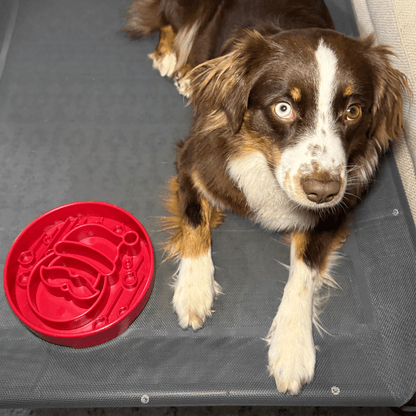 Holiday Slow Feeder Bowls for Cats | Made in the USA, Dishwasher-Safe &amp; Non-Toxic