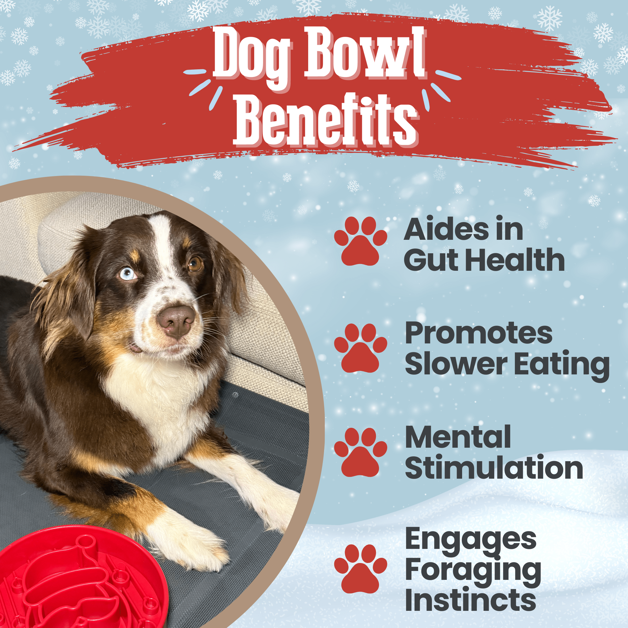 Holiday Slow Feeder Bowls for Cats | Made in the USA, Dishwasher-Safe &amp; Non-Toxic