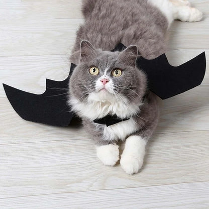 Halloween Black Bat Wings for Cats | Cat Costume