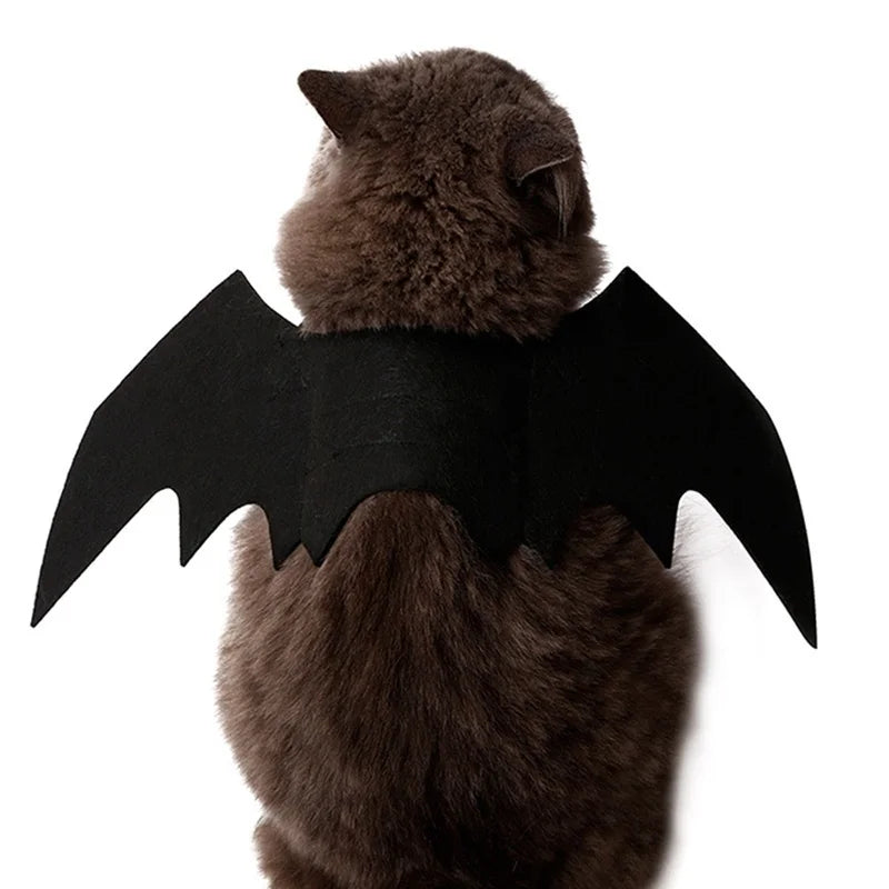 Halloween Black Bat Wings for Cats | Cat Costume