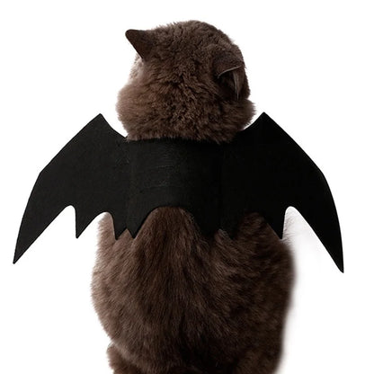 Halloween Black Bat Wings for Cats | Cat Costume