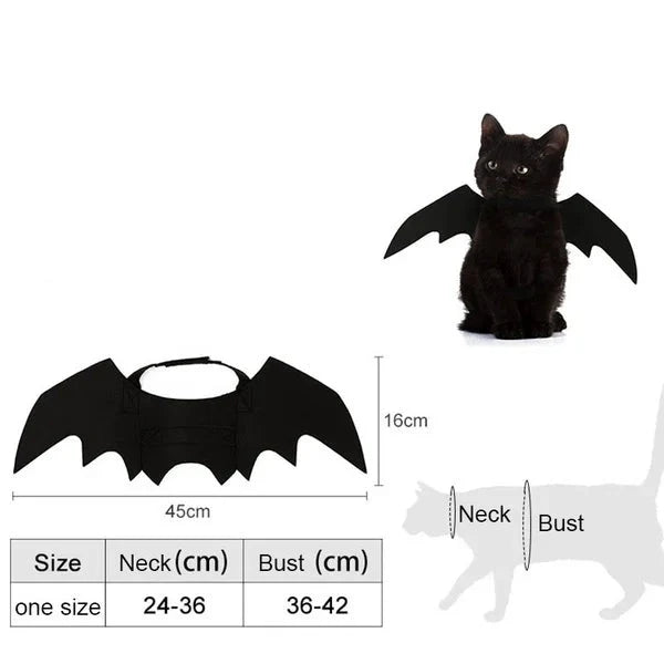 Halloween Black Bat Wings for Cats | Cat Costume