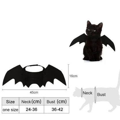 Halloween Black Bat Wings for Cats | Cat Costume