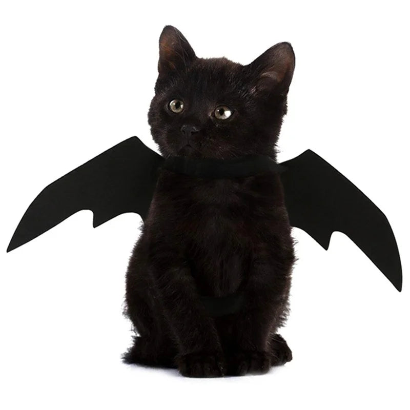 Halloween Black Bat Wings for Cats | Cat Costume