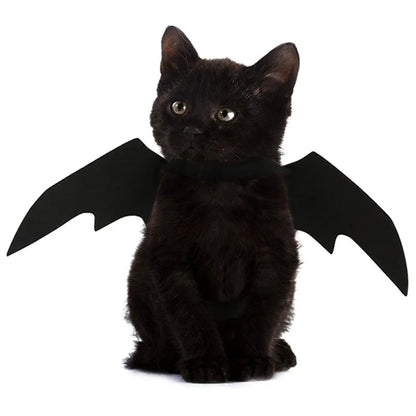 Halloween Black Bat Wings for Cats | Cat Costume