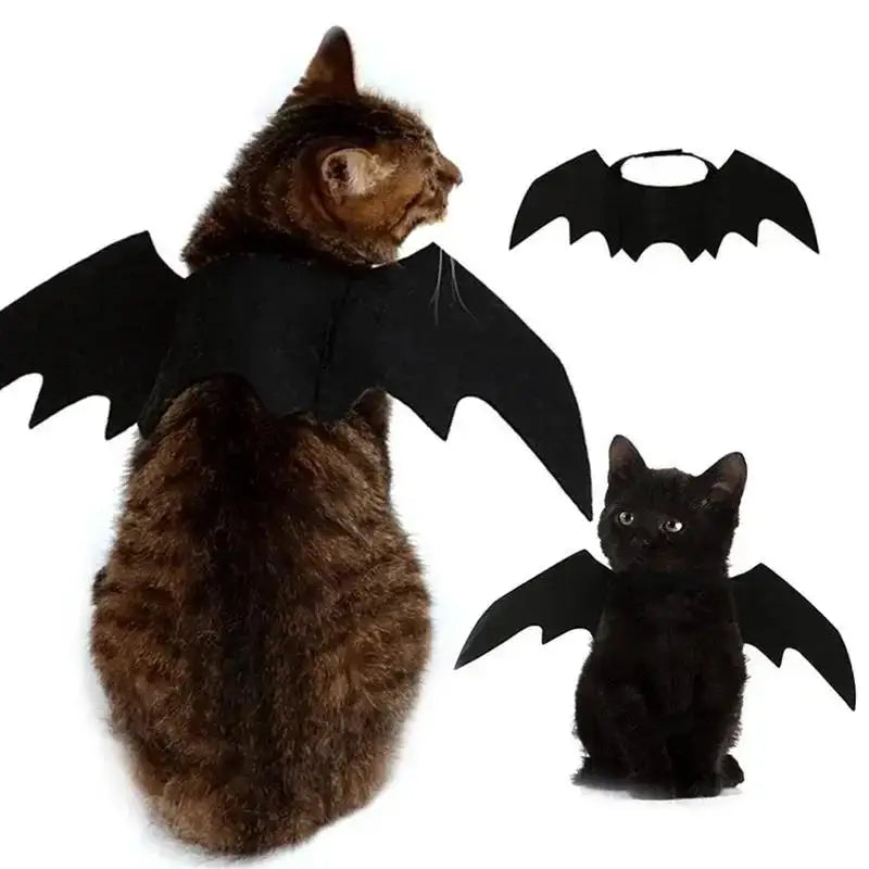 Halloween Black Bat Wings for Cats | Cat Costume