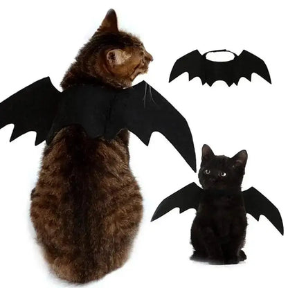 Halloween Black Bat Wings for Cats | Cat Costume