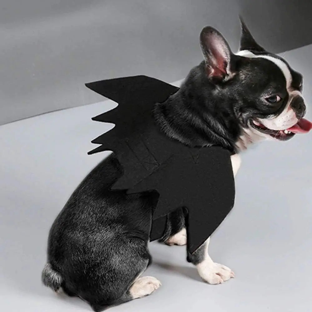 Halloween Black Bat Wings for Cats | Cat Costume