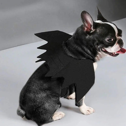 Halloween Black Bat Wings for Cats | Cat Costume