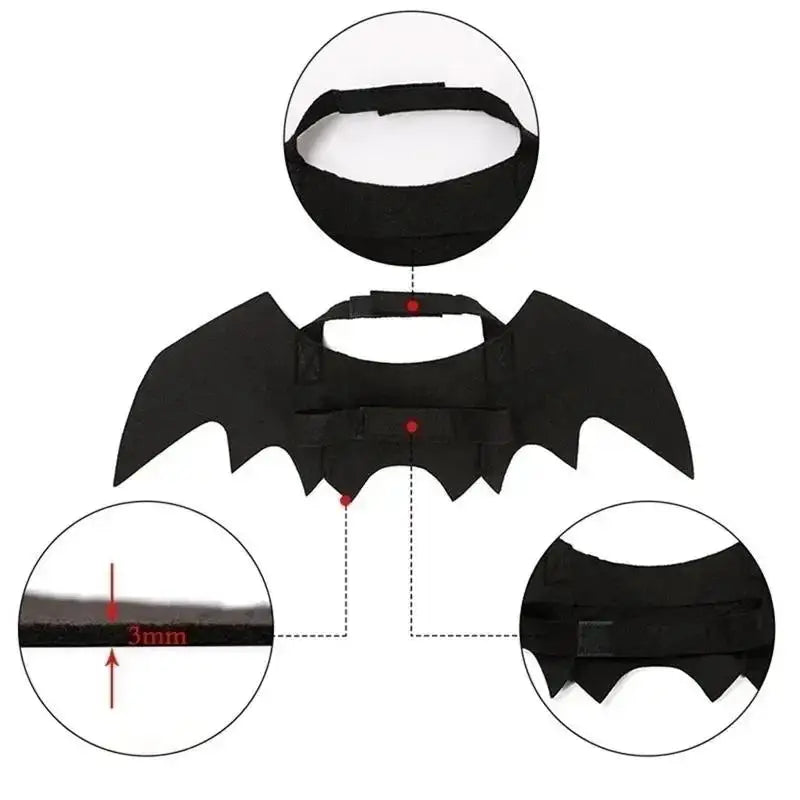 Halloween Black Bat Wings for Cats | Cat Costume