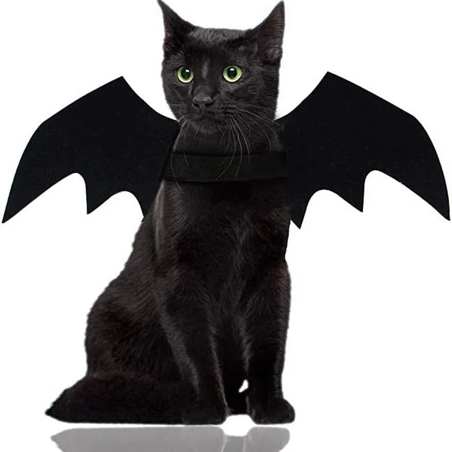 Halloween Black Bat Wings for Cats | Cat Costume