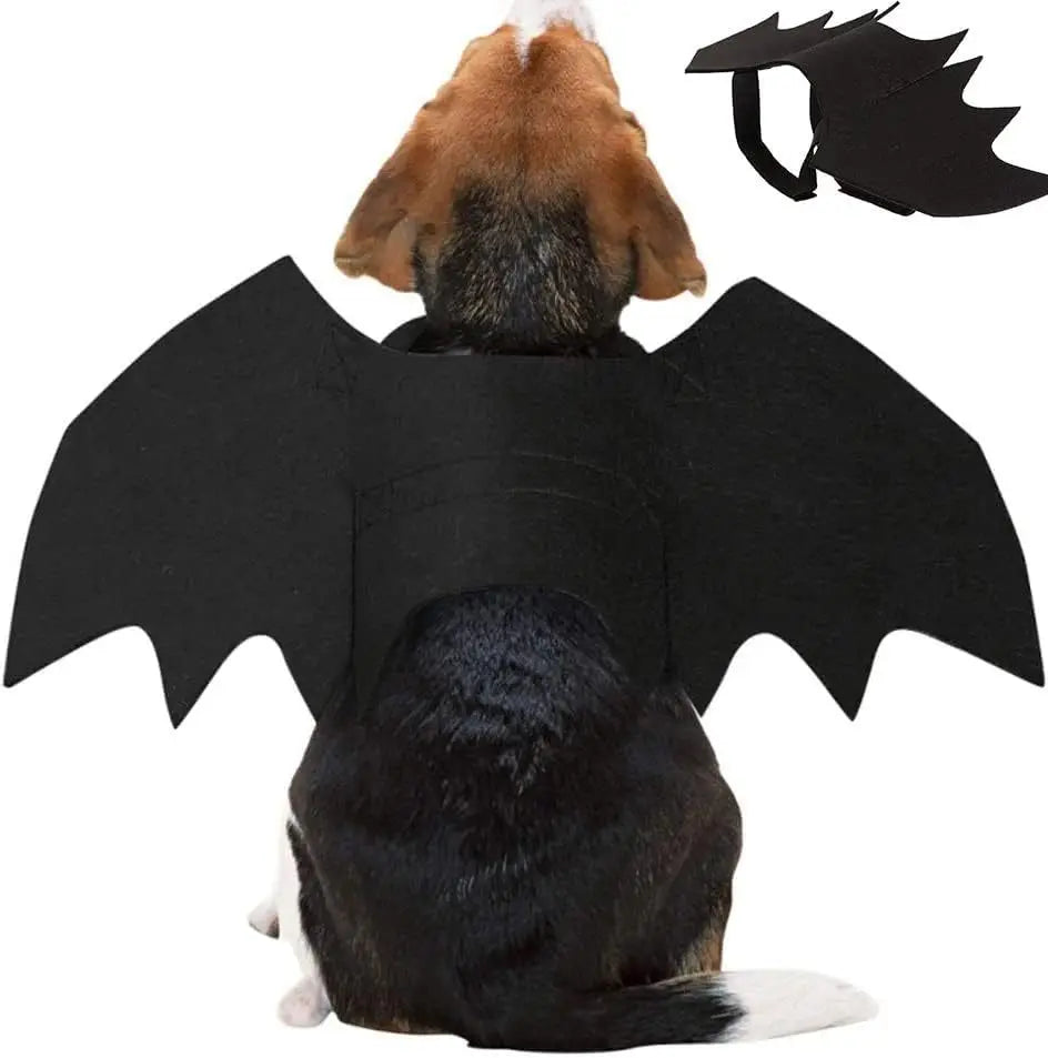 Halloween Black Bat Wings for Cats | Cat Costume