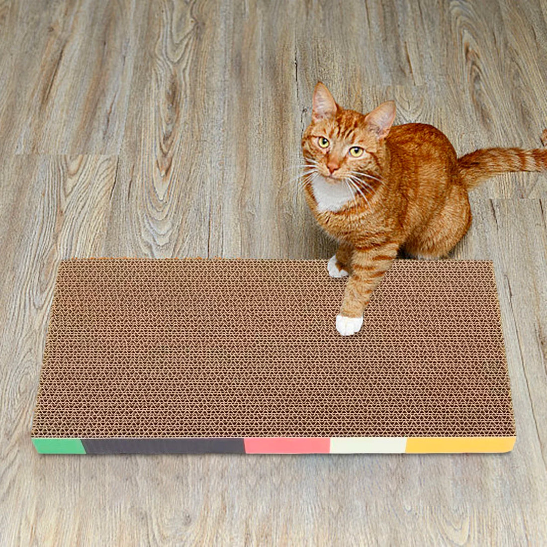 Cat Scratching Board Bed – Cardboard Scratch Pad &amp; Nest for Cats