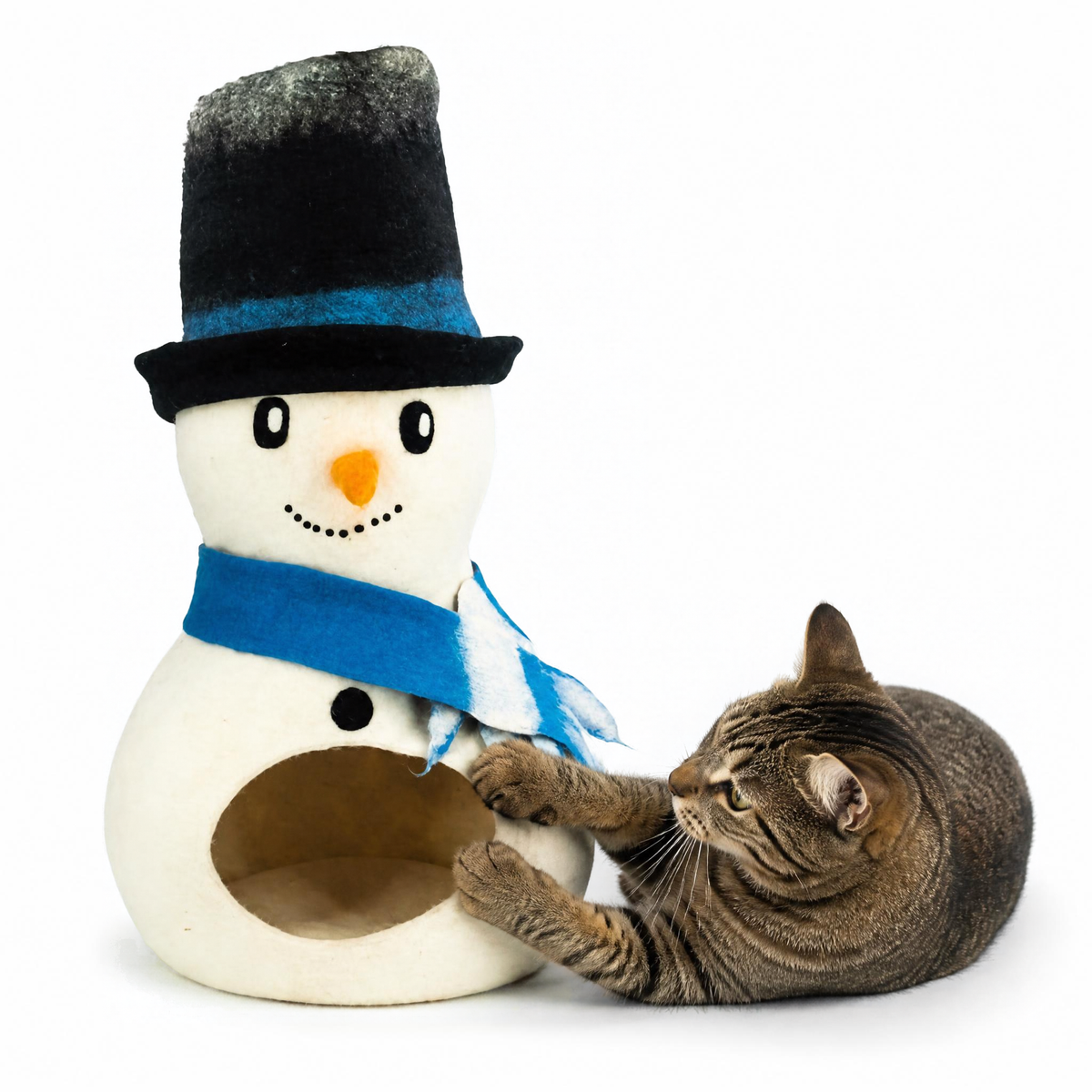 Whisker&