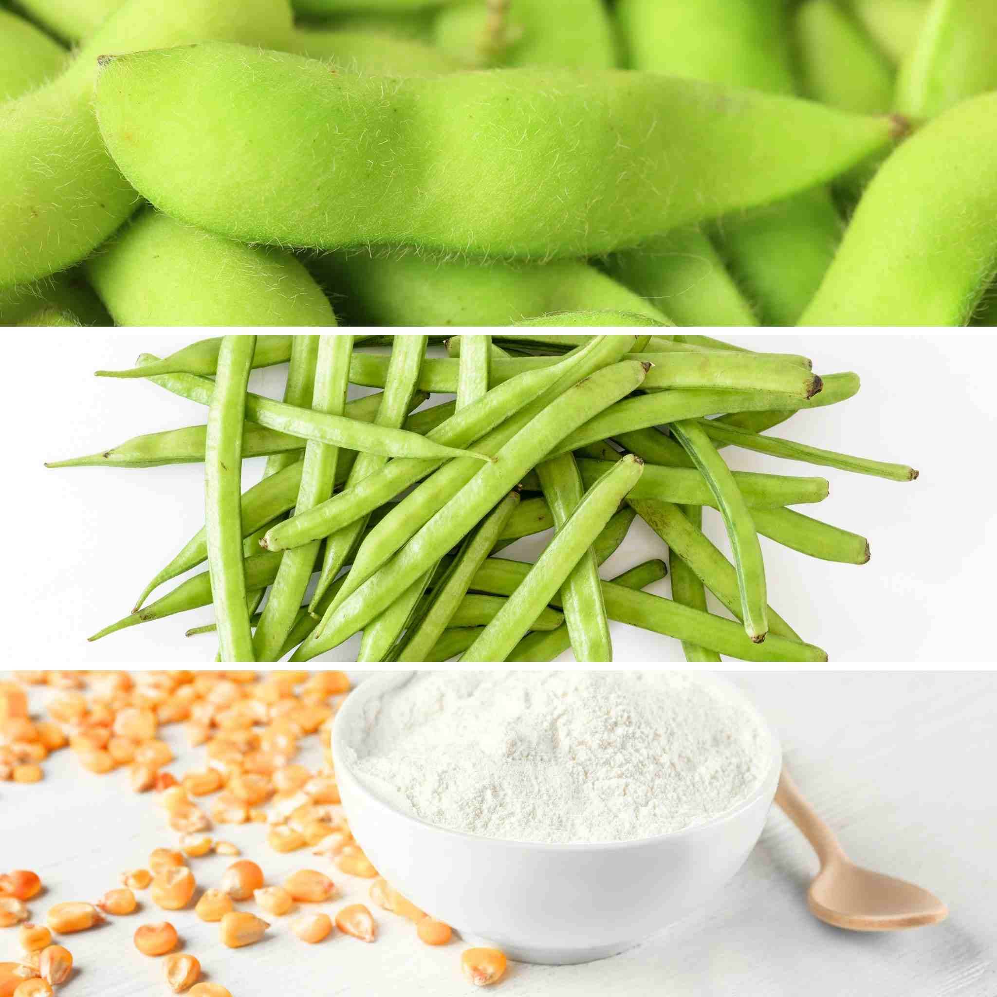 Collage of tofu cat litter ingredients: fresh green soybeans in pods at the top, guar beans in the middle, and cornstarch in a bowl at the bottom, symbolizing natural and organic sources.