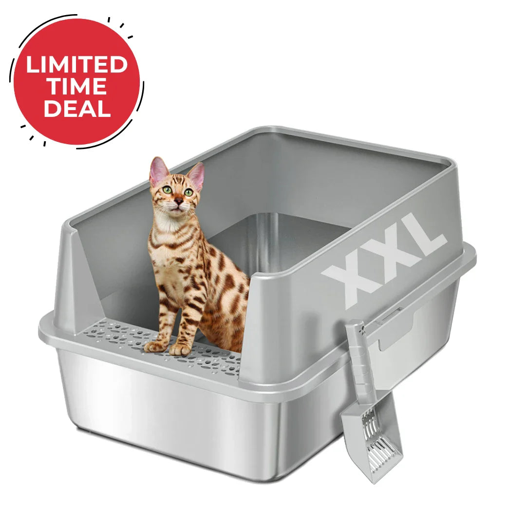 XXL Stainless Steel Cat Litter Box with Lid &amp; Scoop