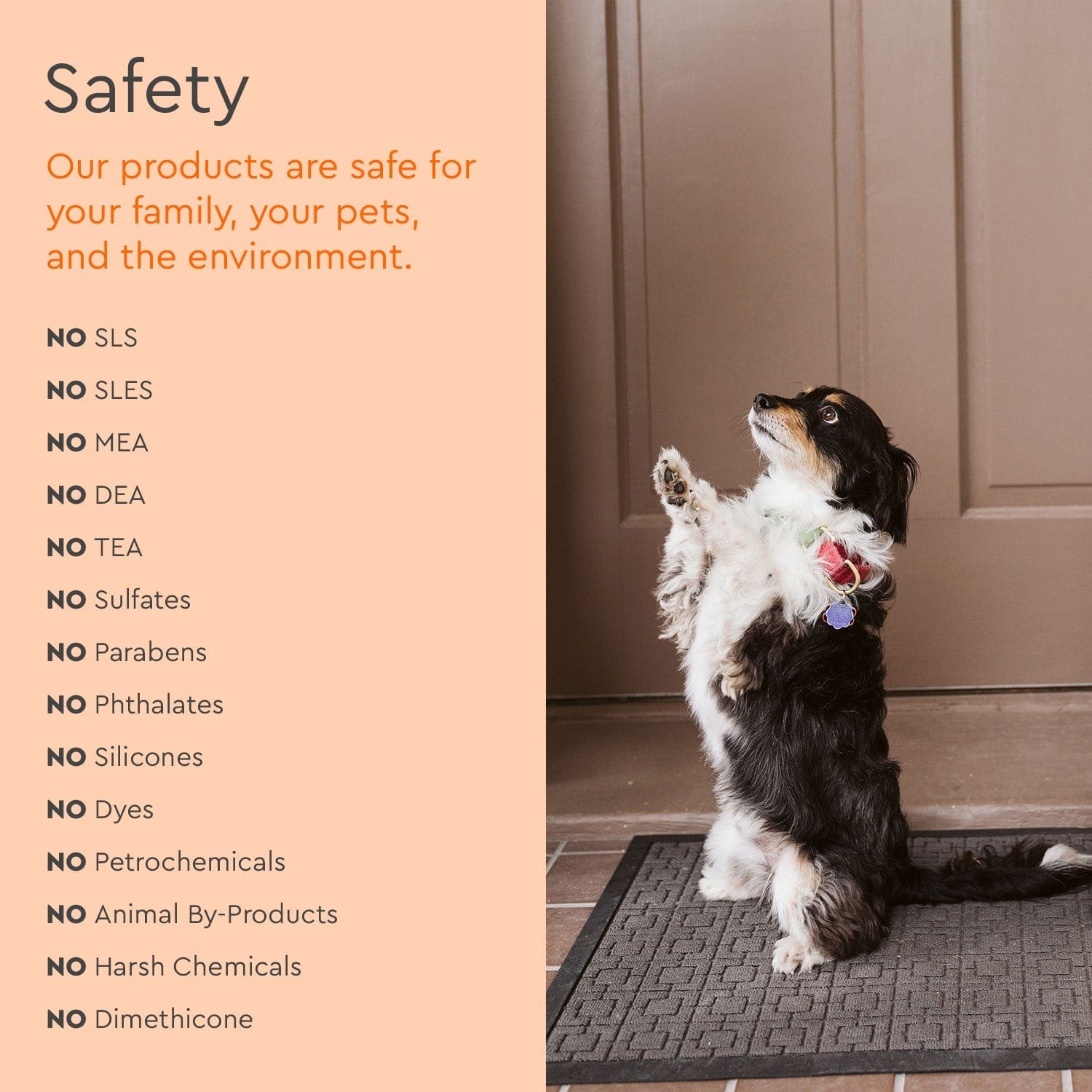 Pet Stain &amp; Odor Remover