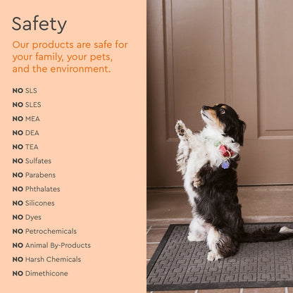 Pet Stain &amp; Odor Remover