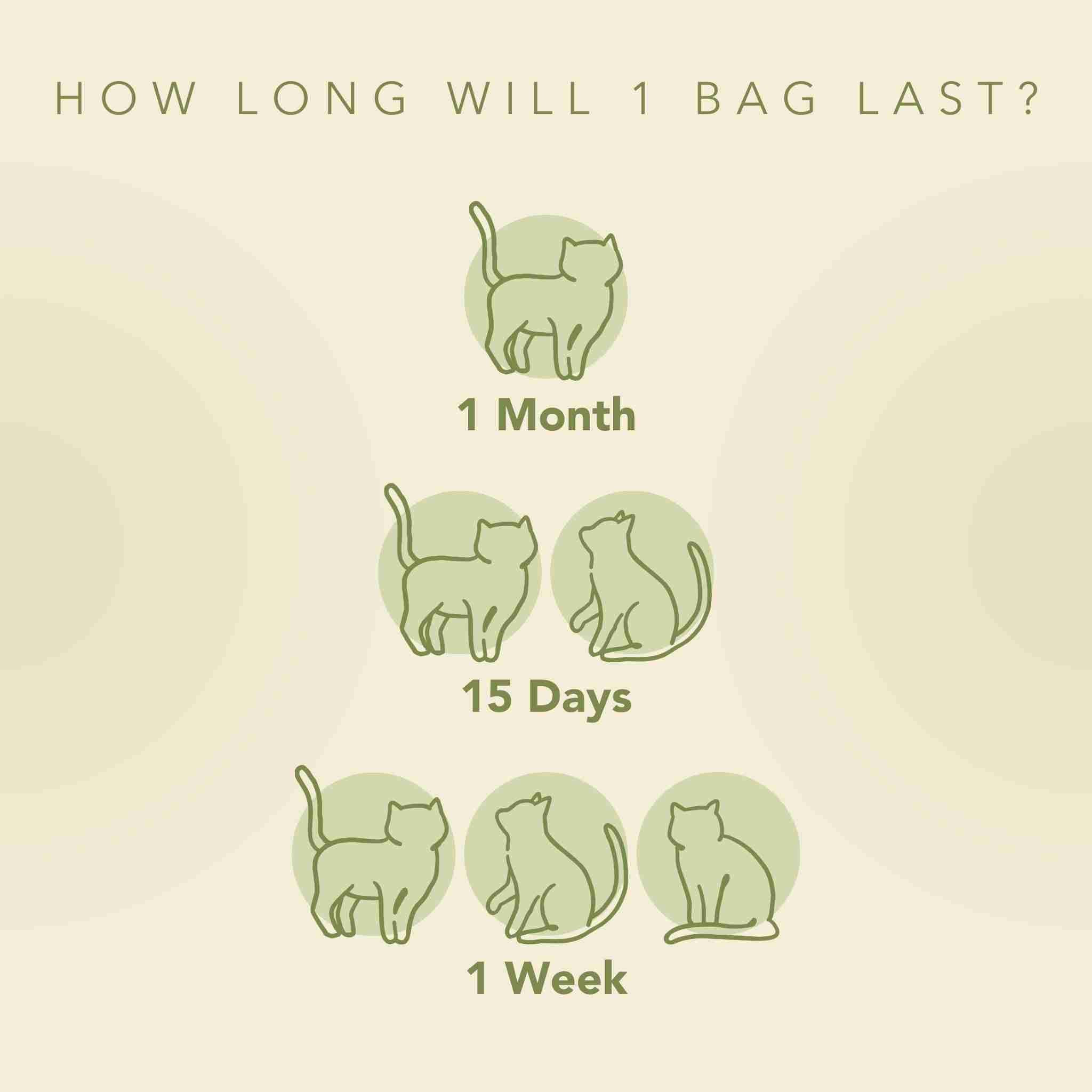 Infographic showing how long SoyKitty litter will last. One cat for one month, two cats for 15 days, three cats for one week.